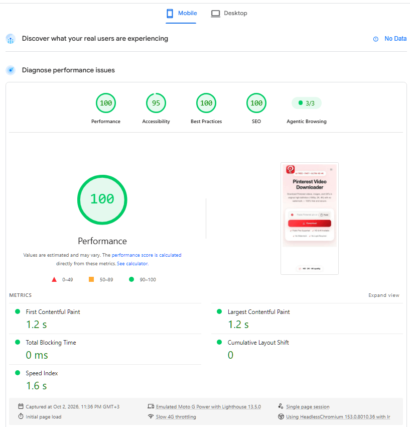 Case Studies 1 PageSpeed Insights mobile score 100 for PinsDownload.org
