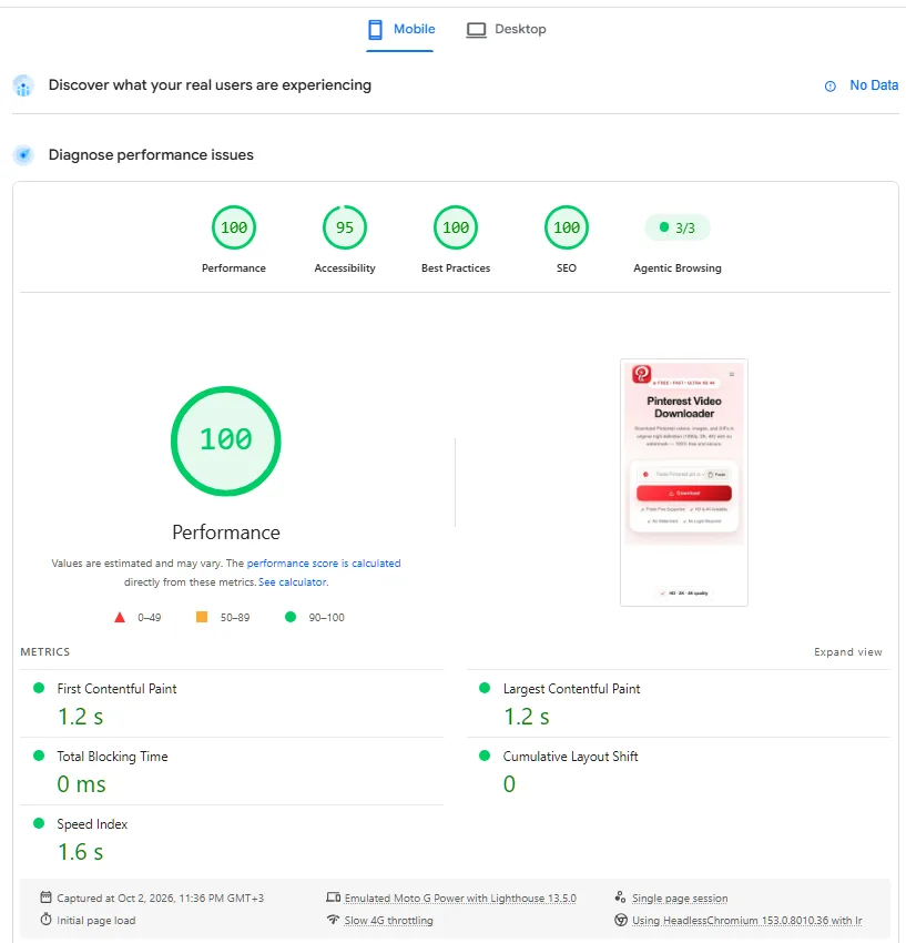 Case Studies 1 PageSpeed Insights mobile score 100 for PinsDownload.org